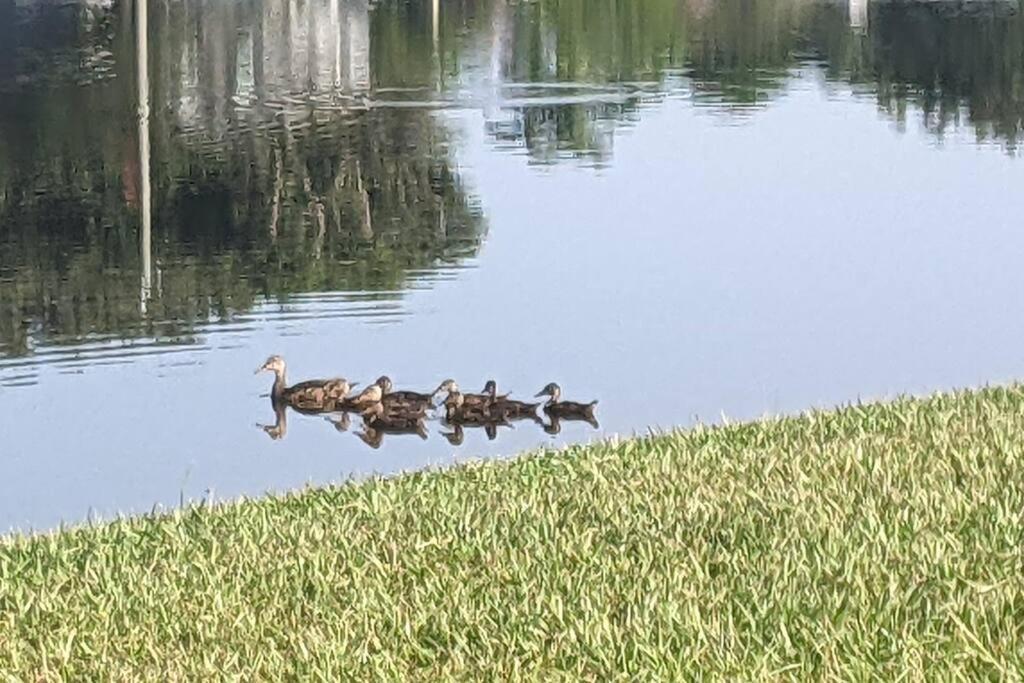 Port Saint Lucie A Little Piece Of Heaven- Peaceful Lake View Apartment- 1 Min From I95 And Turnpike Port St. Lucie Exterior foto